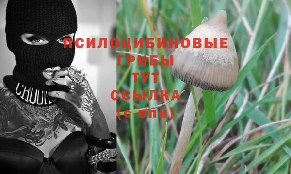 мет Гусь-Хрустальный
