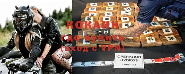 a pvp Дмитриев