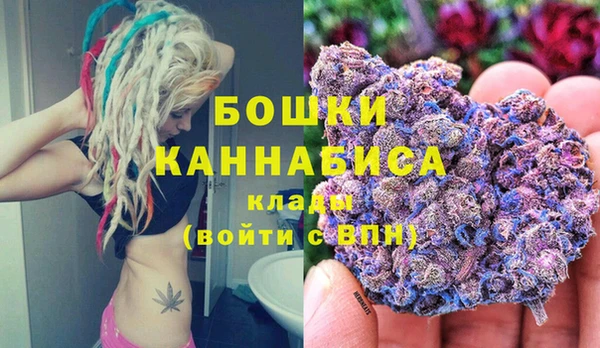дживик Дмитров