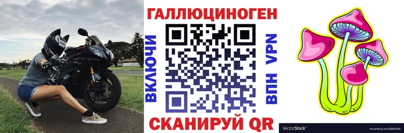 Купить где  Неман  Галлюциногенные грибы прущие грибы 